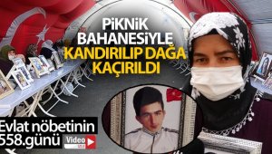 Piknik bahanesiyle kandırılıp dağa kaçırıldı