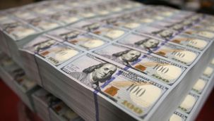 Rusya'dan dolar açıklaması