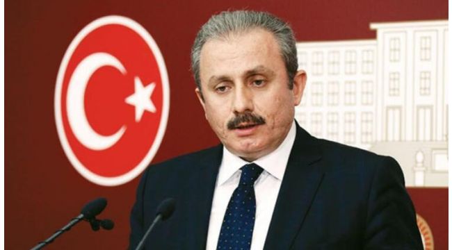 Şentop Anayasa çalışmalarını değerlendirdi