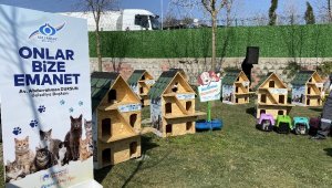 Sultangazi'de "Kedi Köyü" kuruldu
