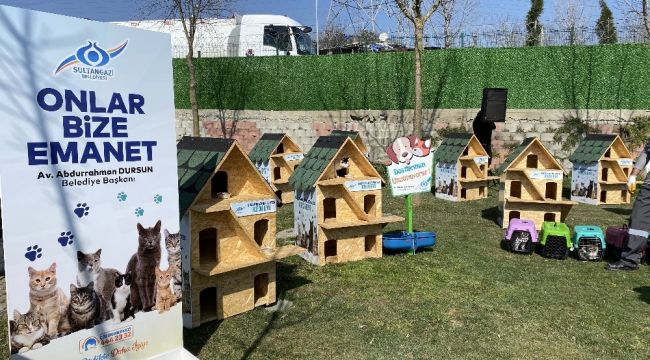 Sultangazi'de "Kedi Köyü" kuruldu