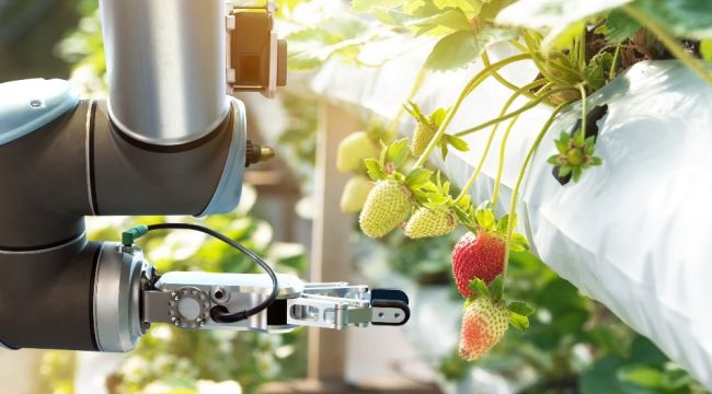 Sürdürülebilir tarım, pandemide kilit rol oynadı