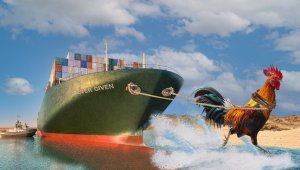 Süveyş Kanalıyla ilgili Denizli horozu paylaşımı