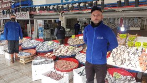 Tezgâhlarda balık bolluğu