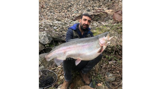 Türkiye ve Avrupa'nın en büyük alabalığı Elazığ'da yakalandı 