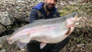 Türkiye ve Avrupa'nın en büyük alabalığı Elazığ'da yakalandı 