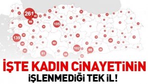 Türkiye'de hiç kadın cinayeti olmayan ili