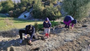 Türkiye'nin en uzun lavanta yolu Manisa'da yapılacak