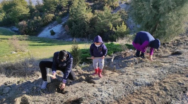 Türkiye'nin en uzun lavanta yolu Manisa'da yapılacak
