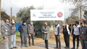 Üniversite kanatlı hayvan çiftliği kuruyor