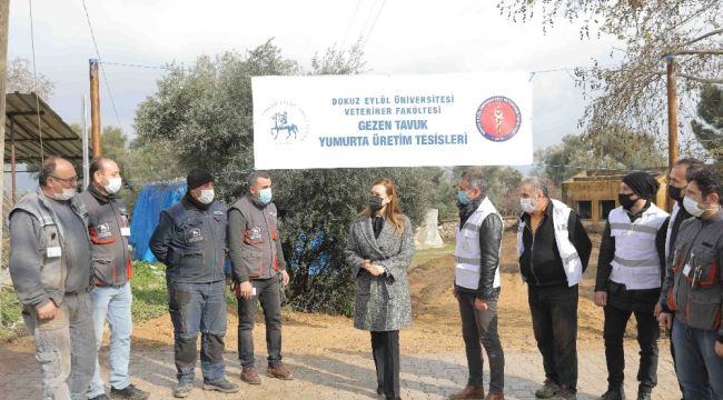 Üniversite kanatlı hayvan çiftliği kuruyor