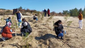 Vefat eden sağlık çalışanları anısına fidan dikildi