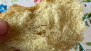 Yediği ekmekten çıkan tel hastanelik etti