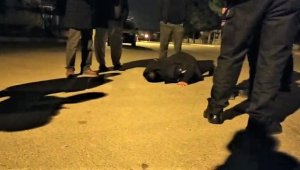 Yeraltından gelen ürkütücü sesler uykusuz bıraktı