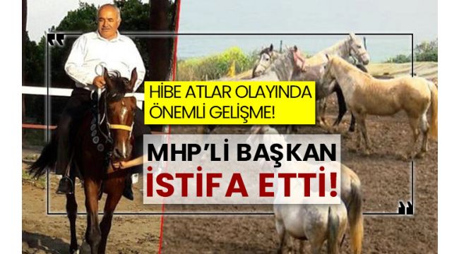 100 kayıp at olayın belediye başkanı istifa etti