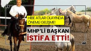 100 kayıp at olayın belediye başkanı istifa etti