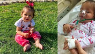 Ada bebek için muhteşem kampanya