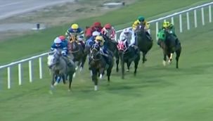 Adana'da yarışta attan düşen jokey yoğun bakımda