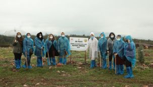 AK Kadın İzmir, fidan dikti