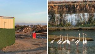 Akçay Sulak Alanı, molozla katlediliyor!