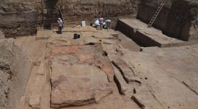 Antik DNA analizleri ile ilginç bir bulgu ortaya çıktı