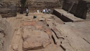 Antik DNA analizleri ile ilginç bir bulgu ortaya çıktı