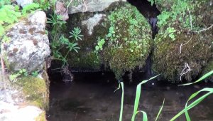 Antik havuz suyu 2200 yıldır akıyor