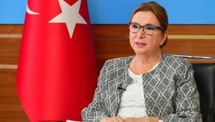 Bakan, kendi şirketinden Bakanlığa dezenfektan alındığını doğruladı