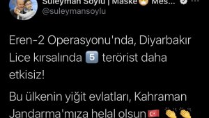 Bakan Soylu açıkladı, Lice kırsalında 5 terörist etkisiz hale getirildi