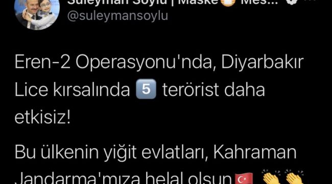 Bakan Soylu açıkladı, Lice kırsalında 5 terörist etkisiz hale getirildi
