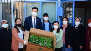 Balıkesir Türkiye'nin Aromaterapi Merkezi olacak