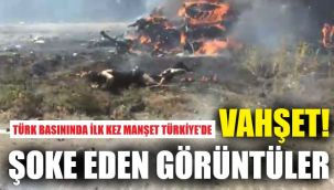 Bu videodaki görüntüler dünyayı ayağa kaldırdı