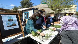 Buca'da balkon tarımı için 100 bin fide