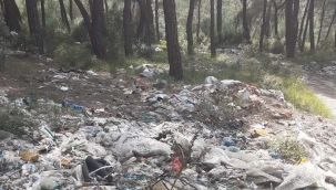 Çevre düşmanları! Ormanı çöpe çevirdiler
