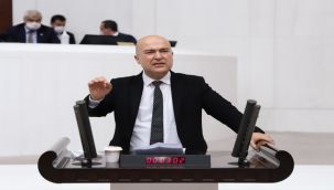 CHP'li Bakan Hayvan Hakları Yasası'nı hatırlattı: