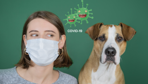 Covid-19, insanlardan hayvanlara bulaşıyor