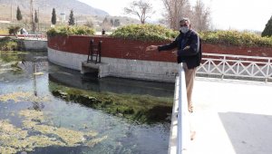 Denizli'nin 'Kaplumbağa terbiyecisi'