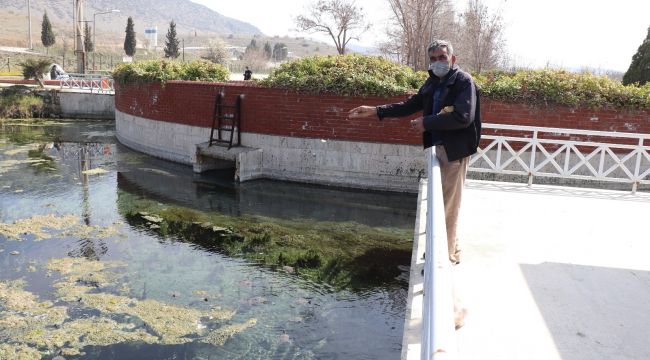 Denizli'nin 'Kaplumbağa terbiyecisi'