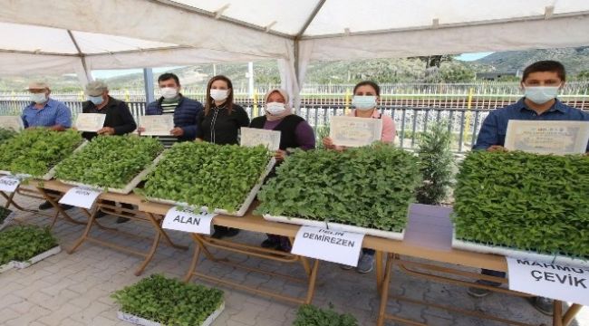 Efes Tarlası Yaşam Köyü'nde üreticilere fide