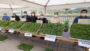 Efes Tarlası Yaşam Köyü'nde üreticilere fide