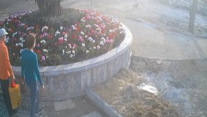 Görülmemiş hırsızlık! Seçe seçe çaldılar