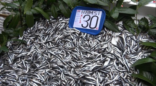 Hamsinin tezgahlarda son demleri: Kilosu 30 TL