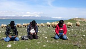 Hem çobanlık yapıyorlar hem ders çalışıyorlar