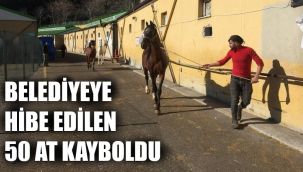 Hibe atlar kayboldu