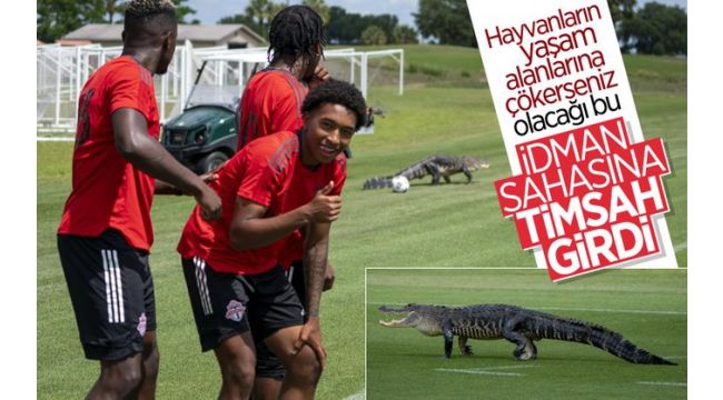 İdman sahasına timsah girdi