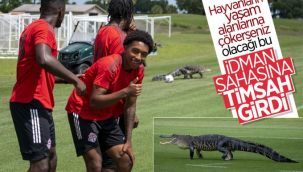İdman sahasına timsah girdi