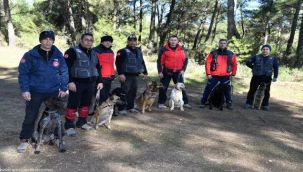 İtfaiyenin yedi köpeği hayat kurtarıyor
