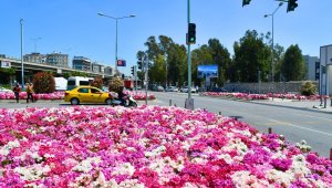 İzmir çiçek açtı