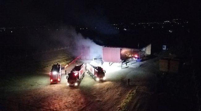 İzmir'de saman deposu alev alev yandı