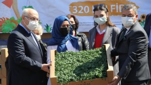 İzmir'de 15 bin kadına 320 bin yerli ve milli fide 